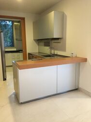 Beaufort On Nassim (D10), Condominium #600207131